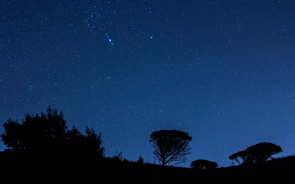Starry Sky Night Trees Silhouette Dark