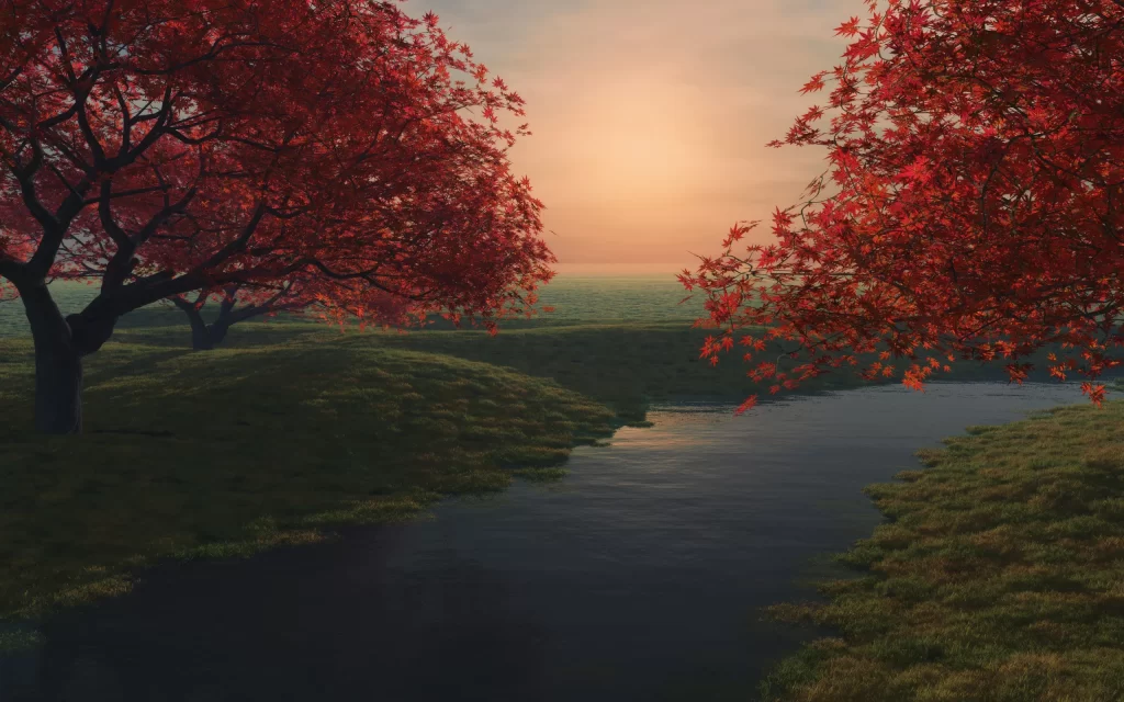 Sunset Autumn Trees River Nature