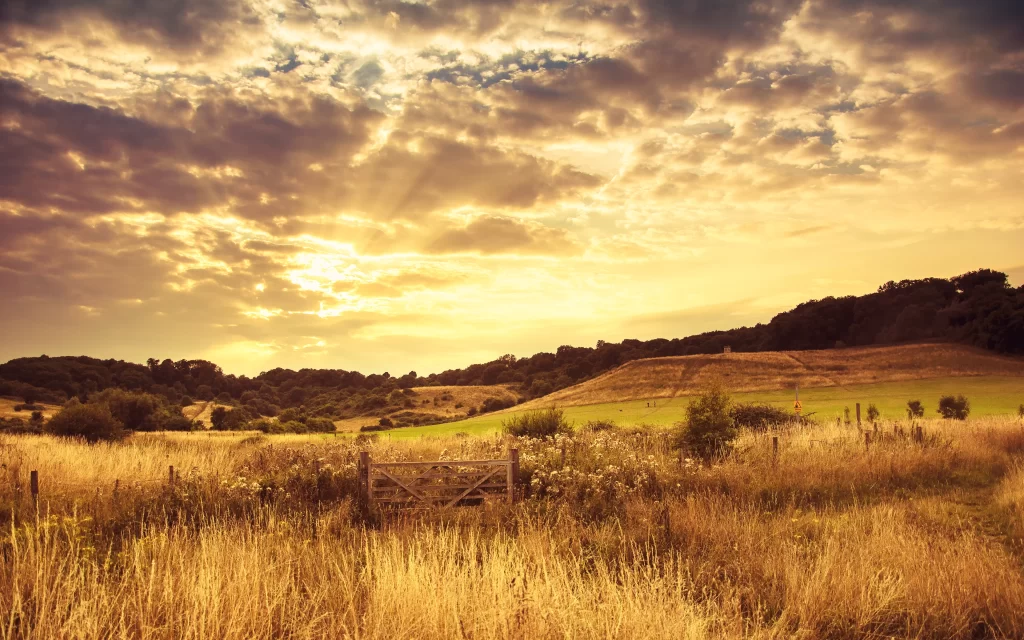 Sunset Clouds Meadow Gate Trees