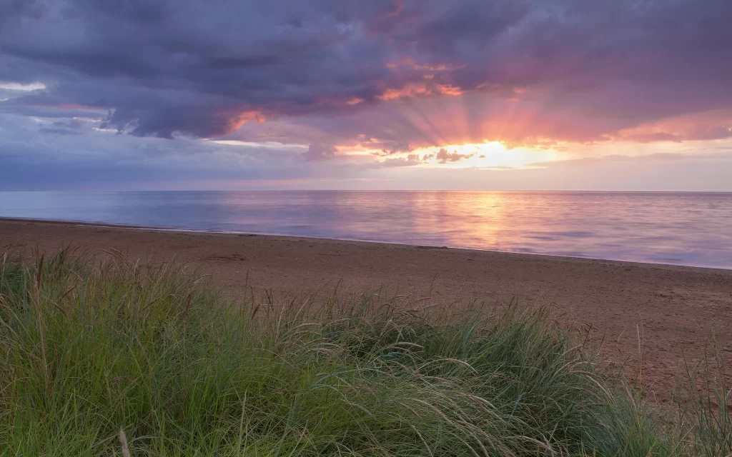 Sunset Clouds Ocean Horizon Grass
