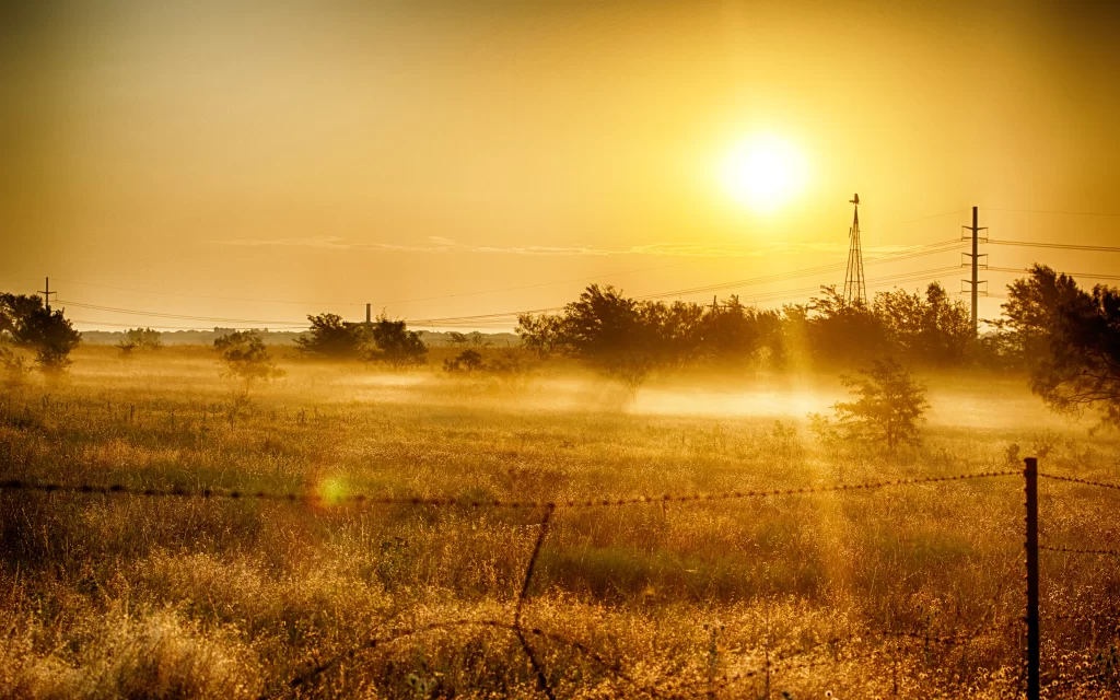 Sunset Field Mist Trees Power Lines