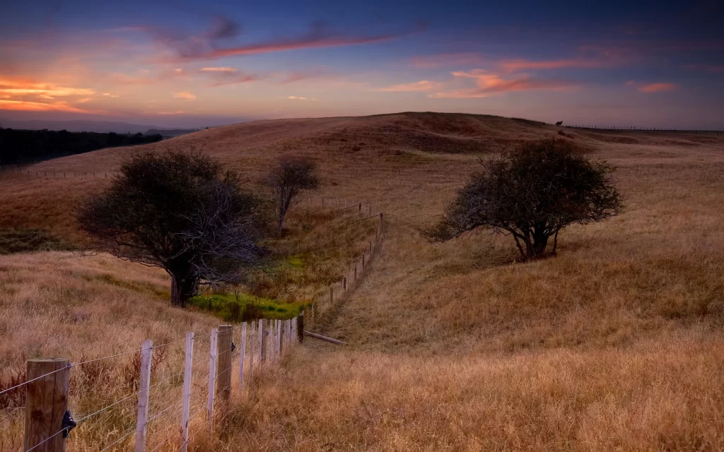 Sunset Grassland Trees Fence Hills Sky