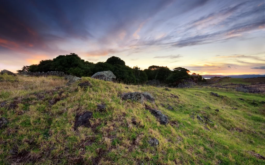Sunset Landscape Grass Rocks Trees Sky
