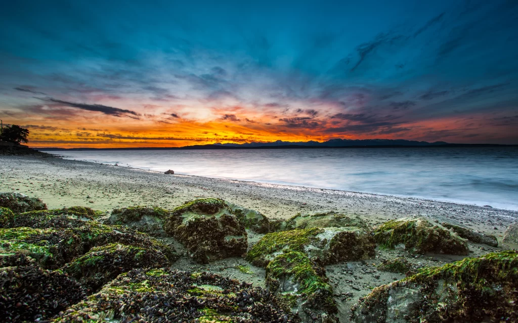 Sunset Ocean Rocks Seaweed Horizon Mountains