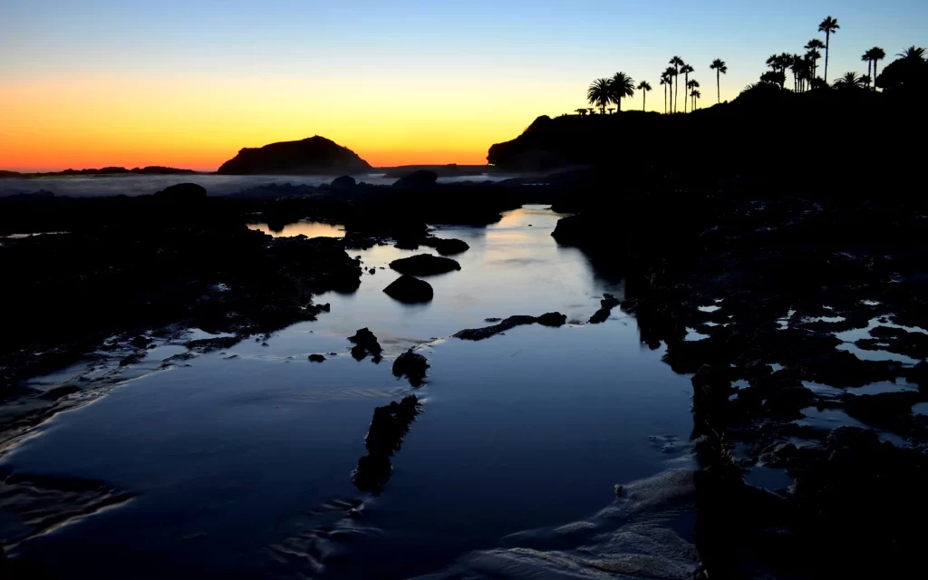 Sunset Ocean Rocks Silhouette Palm Trees