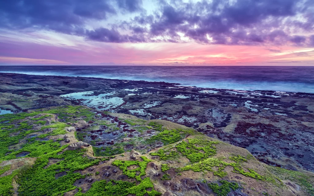 Sunset Ocean Rocks Tide Pools Greenery