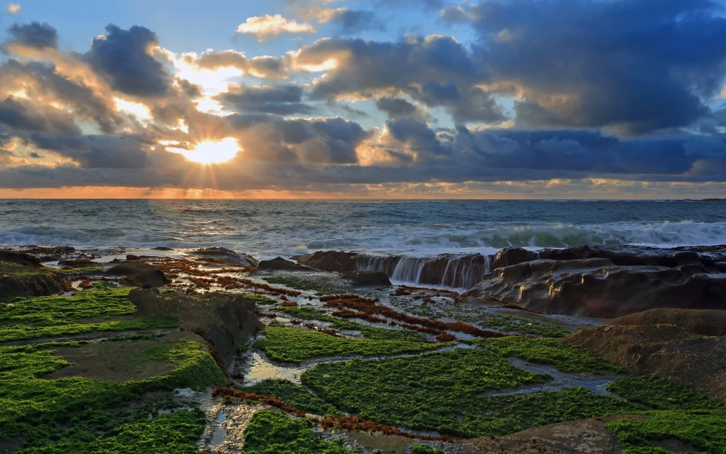 Sunset Ocean Rocks Waves Greenery
