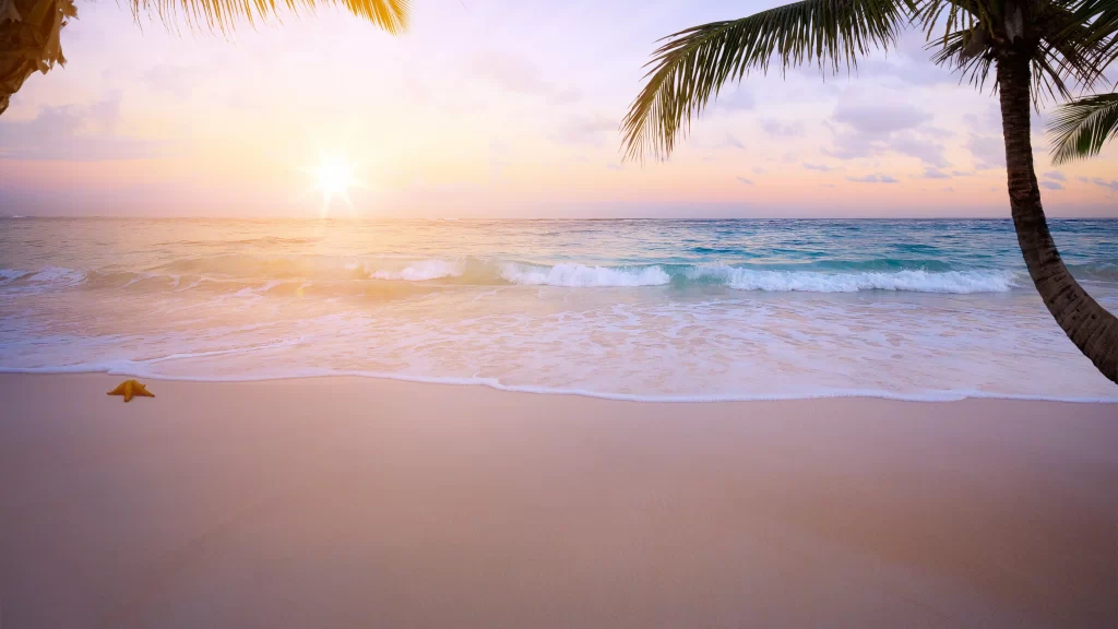 Sunset Ocean Waves Beach Golden Palm Trees Tranquil