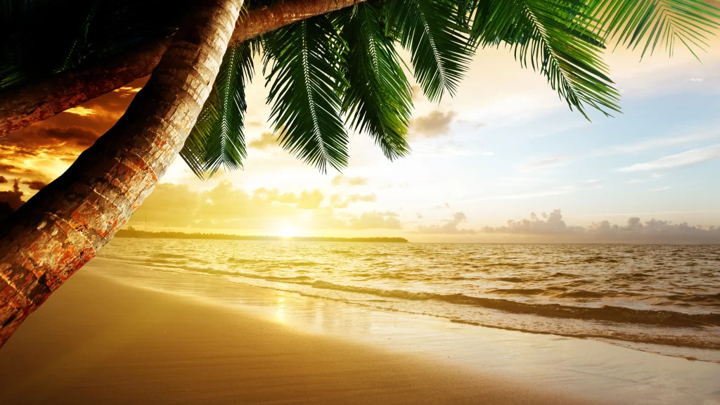 Sunset Ocean Waves Beach Golden Palm Trees Tropical Paradise