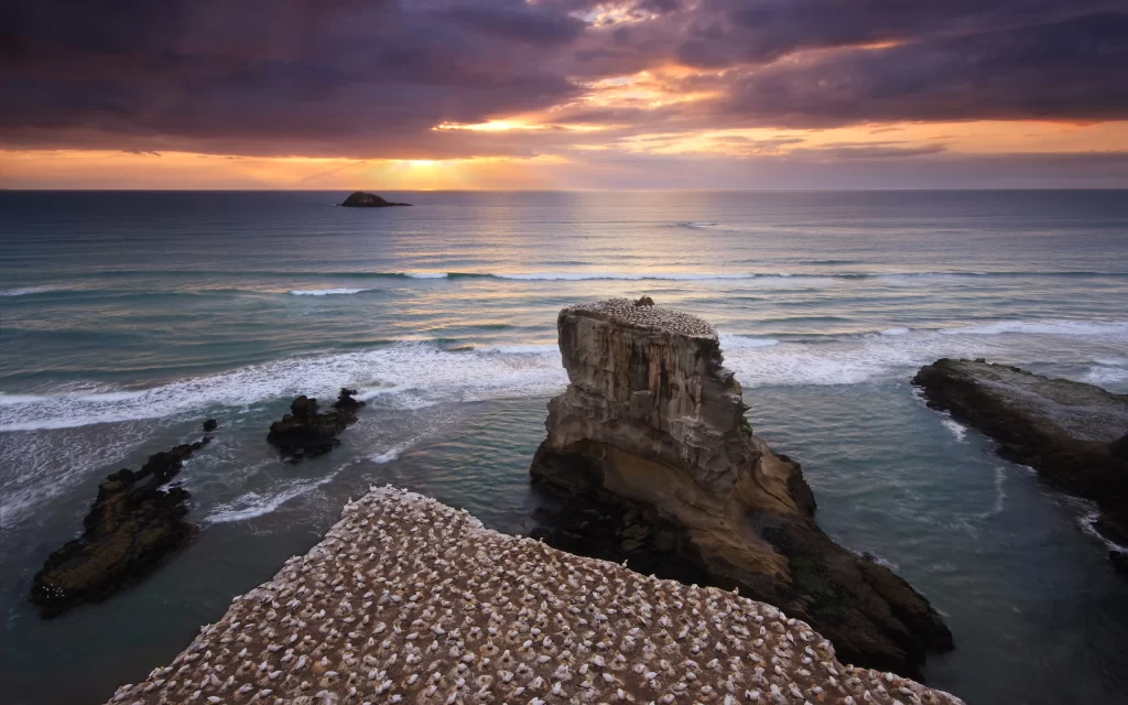Sunset Ocean Waves Rock Formation Seagulls Clouds
