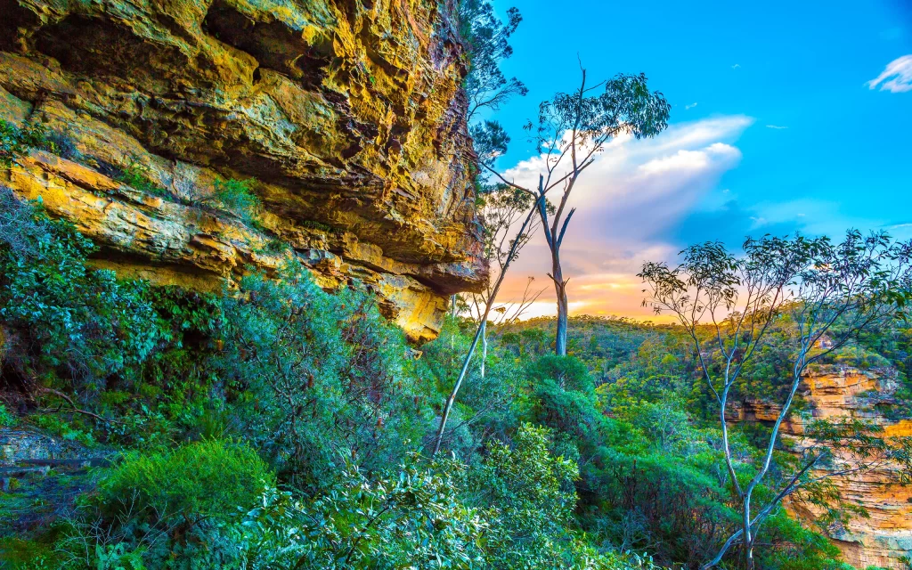 Sunset Rocky Cliff Dense Vegetation Clear Sky Scenic Landscape Natural Beauty
