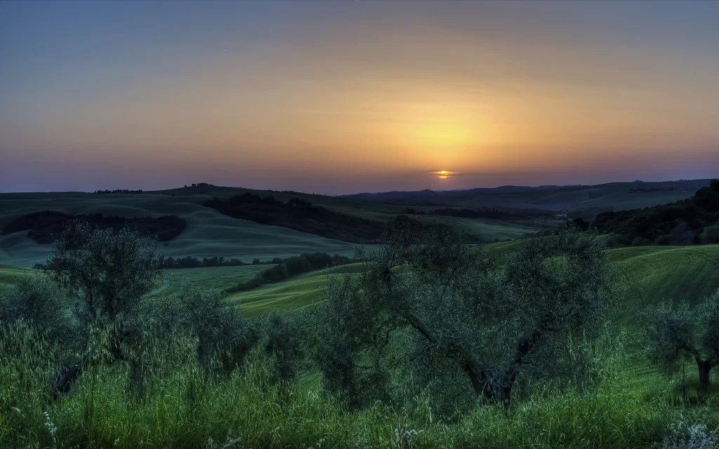 Sunset Rolling Hills Trees Grasslands Nature