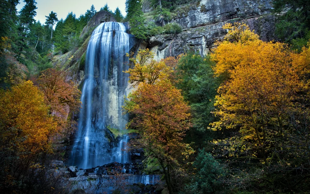 Waterfall Autumn Trees Forest Nature Scenery