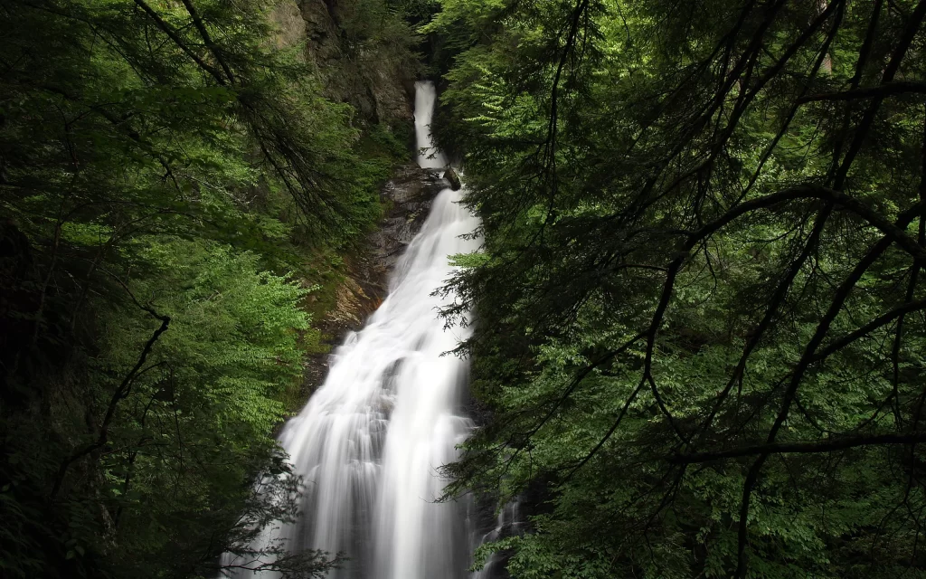 Waterfall Forest Greenery Nature Serenity