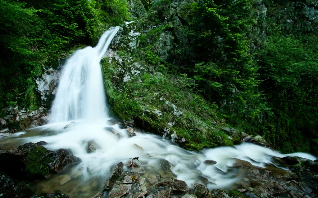 Waterfall Forest Rocks Greenery Nature Flowing