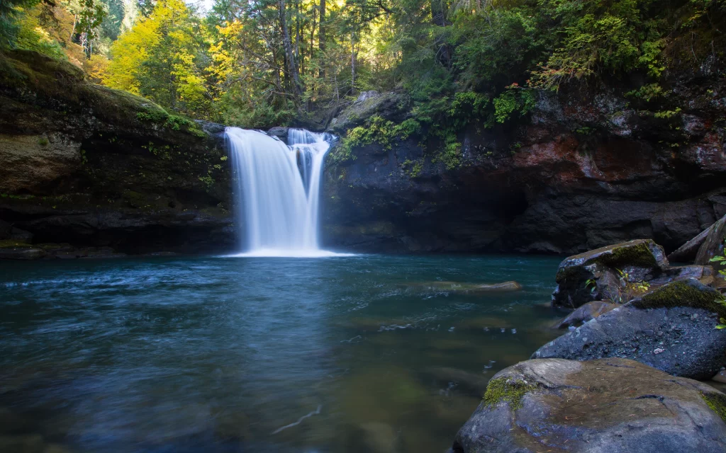 Waterfall Forest Rocks River Nature