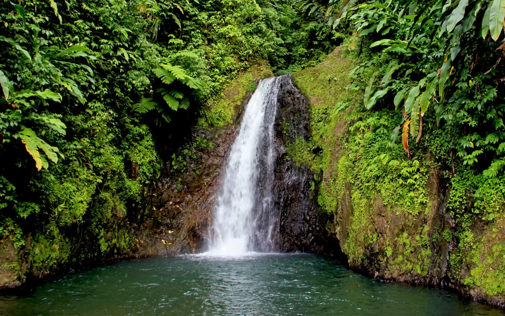 Waterfall Lush Greenery Nature Scenic Serene