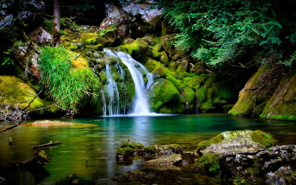 Waterfall Mossy Rocks Clear Pool Lush Greenery Nature