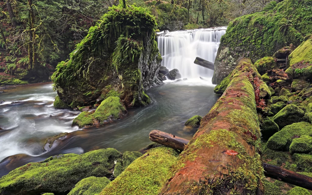 Waterfall Mossy Rocks Forest River Nature