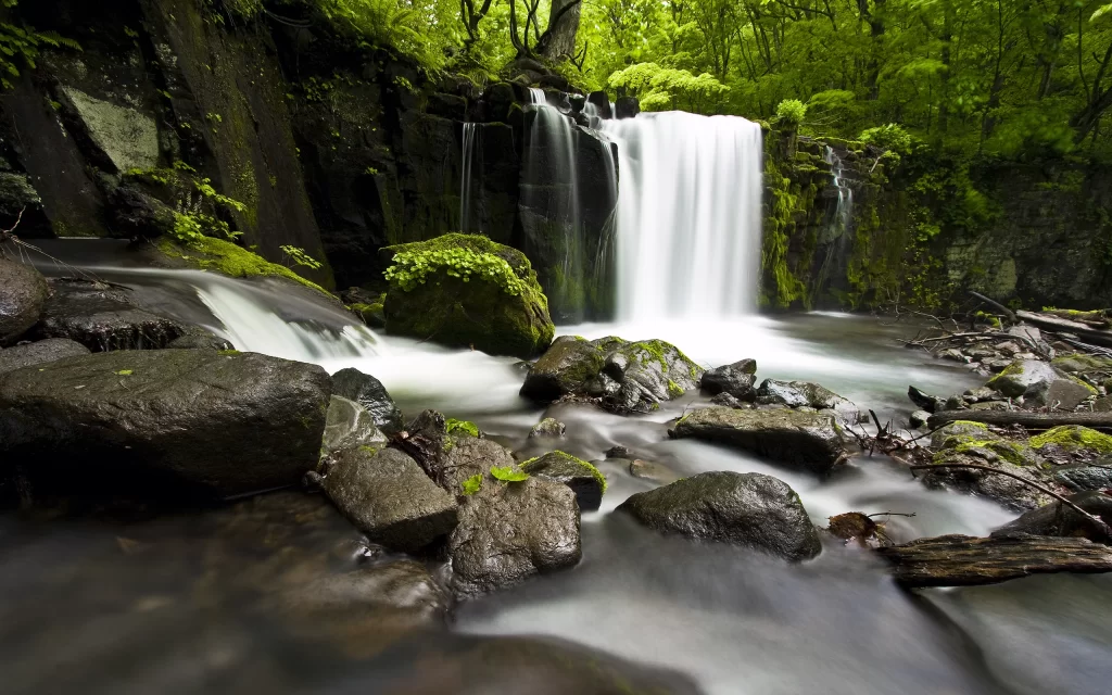 Waterfall Rocks Mossy Green Forest Nature
