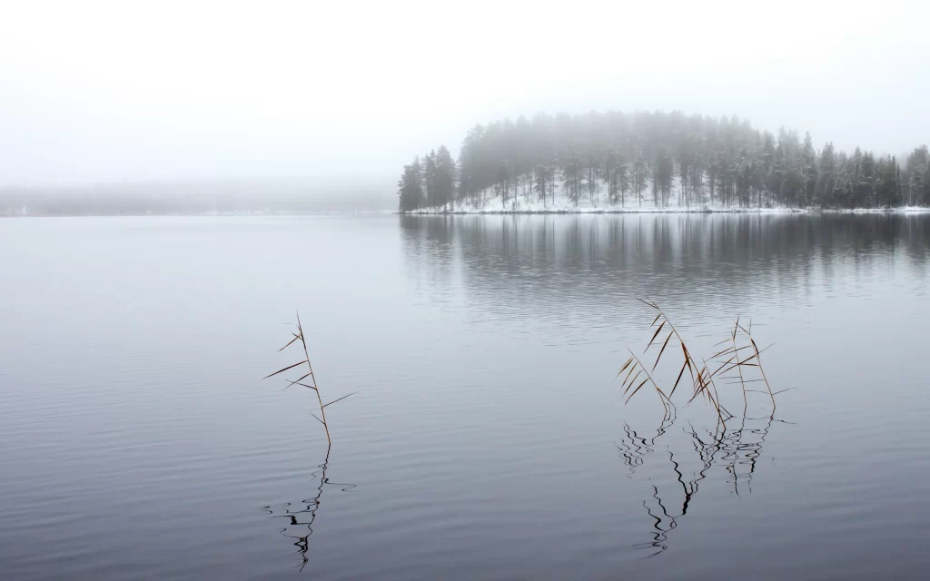 Winter Lake Snow Trees Reflection Misty