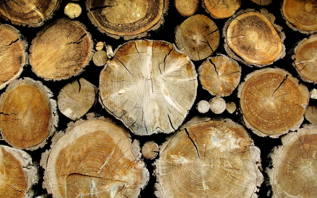 Wooden Logs Nature Growth Rings