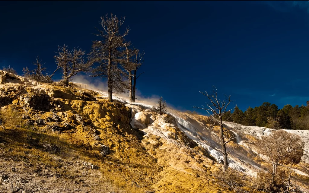 Yellow Rock Formation Trees Blue Sky
